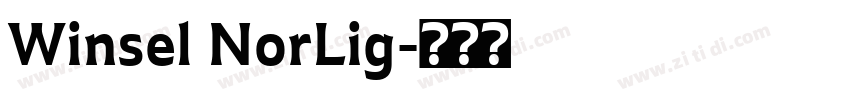 Winsel NorLig字体转换